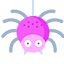 pasjans pająk